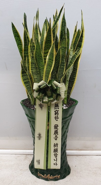 꼼