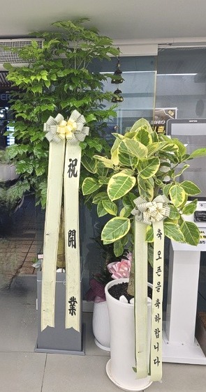 캸,