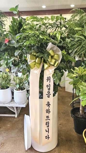 캸