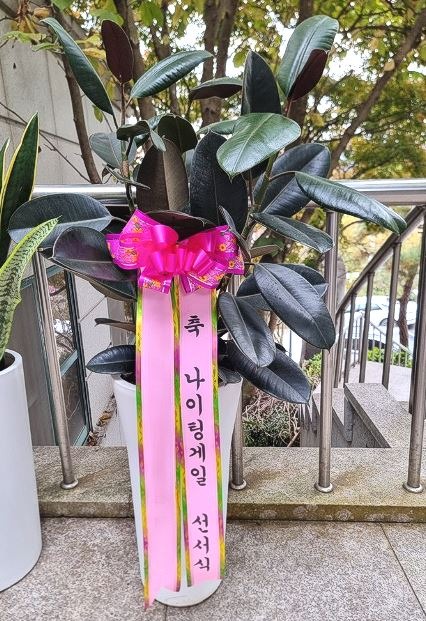 ��������