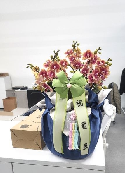 �̴�ȣ�� �����