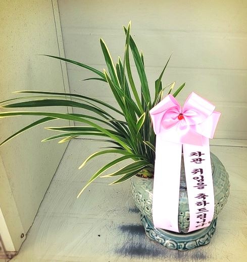 �뱹���ڱ�