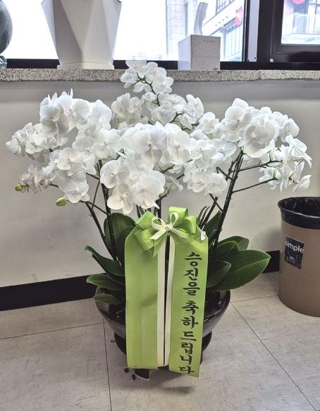 ���ȣ����